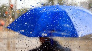 На выходные дни в Казахстане ожидаются дожди с грозами