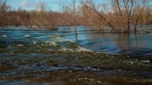 В Карагандинской области хотят изменить русло реки Нура