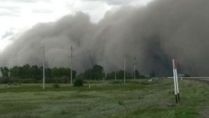 В Казахстане пострадали пять человек из-за сильного урагана