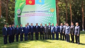 МВД Казахстана и Кыргызстана провели совместное совещание