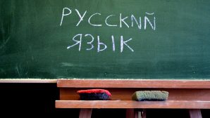 Родителей Уральских пятиклассников возмутили обновленные учебники‍