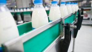 Продукцию пяти молокозаводов Кыргызстана запретили к ввозу в РК