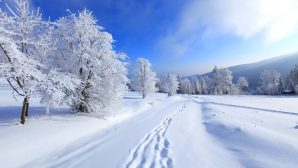 Казахстанские синоптики рассказали о похолодании в декабре