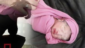 Младенец из мусорного бака в Костанае умер. Разыскивают его мать