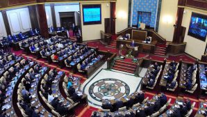 Казахстанские сенаторы не поддержали предложенную прямую выборность акимов