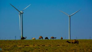 Тупкараганский район: заложен первый камень ветряной электростанции