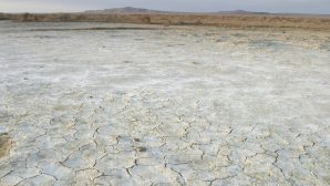 Назарбаев: Ежегодно со дна Арала поднимается 80 млн тонн ядовитых солей