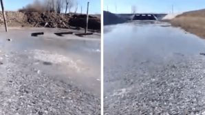 На озере в ЗКО рыба плотным слоем вмерзла в лед. Видео