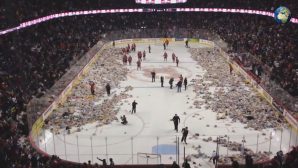 На льду после хоккейного матча оказалось 34 798 плюшевых мишек