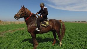 Самый дорогой конь в Азии внезапно умер после улак тартыш