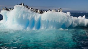 Ученые зарегистрировали сейсмическую активность в Антарктиде
