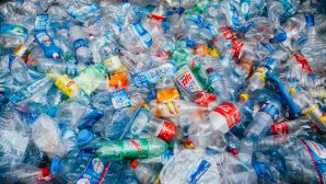 Ученые: пластик чреват катастрофой, масштабы которой сложно просчитать