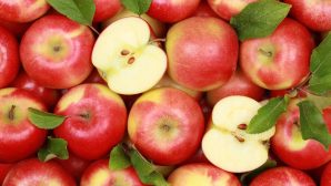 Ученые рассказали, как можно сохранить яблоки целый год