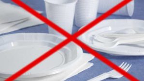 В ЕС запрещают одноразовую посуду