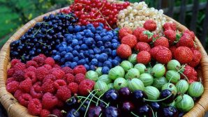 Ученые: любые ягоды могут спасти от диабета