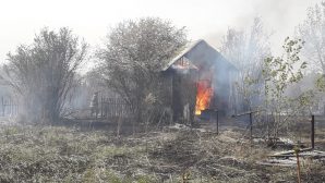 Крупный пожар уничтожает дачи в Петропавловске