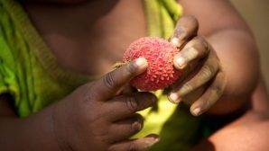 Более 50 детей скончались после употребления опасных фруктов в Индии