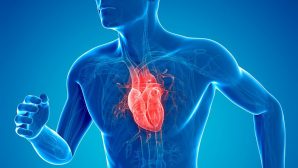 Кардиологи назвали пять привычек, которые способны ослабить сердце