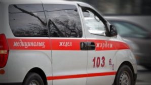 В Алматы на мать с детьми упало дерево: женщина скончалась