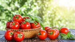 Кому вредно есть помидоры: рассказали медики