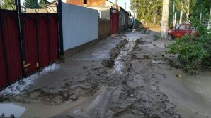Мощный сель: в Алматинской области в воде оказались почти 300 жилых домов