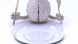 Учёные: плохое питание вызывает в мозге окислительный стресс