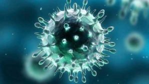 Ученые обнаружили вирус старее самого человечества