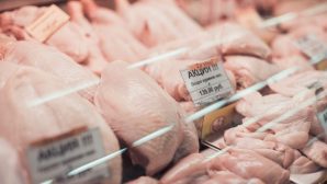 Названы торговые марки опасного куриного мяса