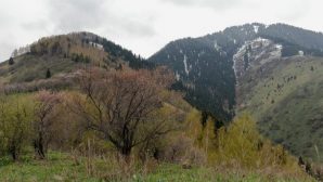В Большом Алматинском ущелье спасли туристов