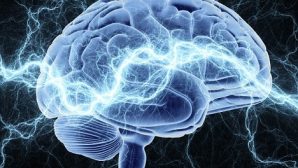 Учёные установили, от какой работы уменьшается мозг
