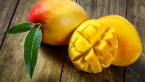 Что будет, если часто есть манго, рассказали эксперты