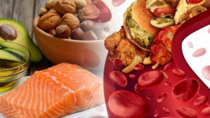 Ученые нашли пять продуктов, снижающих уровень холестерина