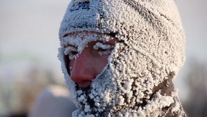 Великобритания готовится к самой холодной зиме за 30 лет