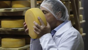 Эксперты назвали самый вкусный сыр в России