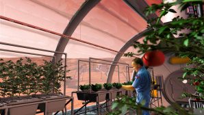 На Марсе можно выращивать помидоры