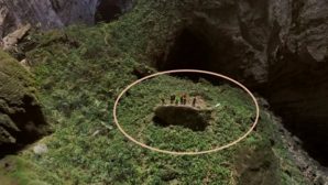 Экспедиция спустилась в пещеру, из которой доносились странные звуки. Ученые с трудом поверили в увиденное