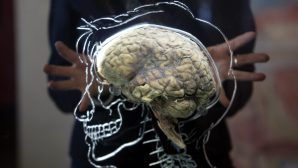 Ученые представили эффективный способ омолодить мозг