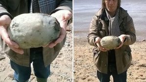 Прогуливаясь по пляжу, супруги наткнулись на странный камень, источающий ужасный запах. Муж решил забрать его и не прогадал