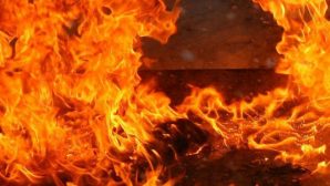В Кокшетау на тушении пожара в дачном домике обнаружили мужчину