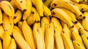 В Великобритании женщина купила бананы с тысячами тропических пауков