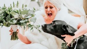 Решение невесты привезти свою собаку на фотосессию сделало снимки просто восхитительными