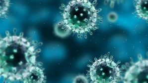 В США выявлен первый случай заражения новым коронавирусом 2019-nCoV