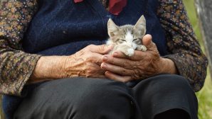 Пенсионерка приютила котят, которые потом сожгли её дом