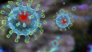 Медики рассказали, когда будет пик эпидемии китайского коронавируса