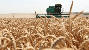 В Казахстане наблюдается дефицит кадров в аграрном секторе