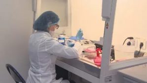 В Казахстане начнут выпускать тесты для определения гриппа