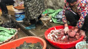 Китай настаивает на непричастности рынка морепродуктов к коронавирусу