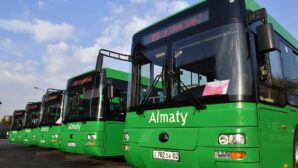 В троллейбусах и некоторых автобусах Алматы появился Wi-Fi