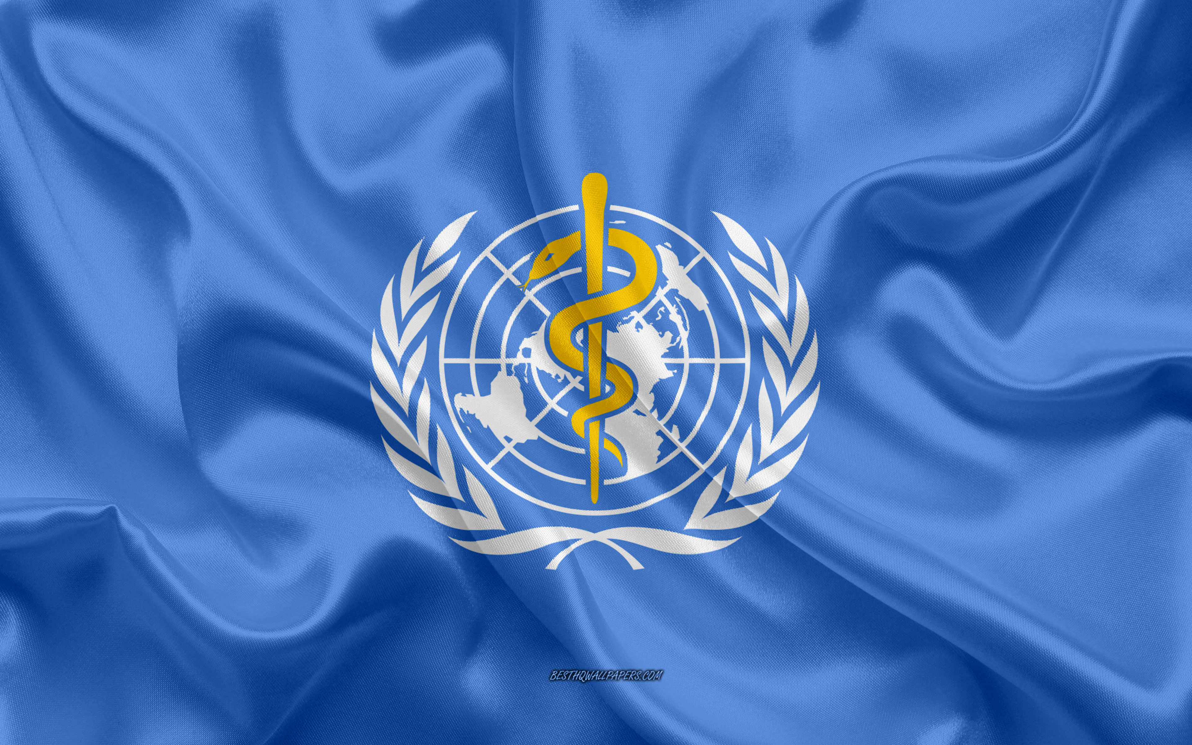 Всемирная организация здравоохранения в россии. Флаг всемирной организации здравоохранения. 3 Всемирная организация здравоохранения (воз). Воз ООН. Воз - Всемирная организация ООН.